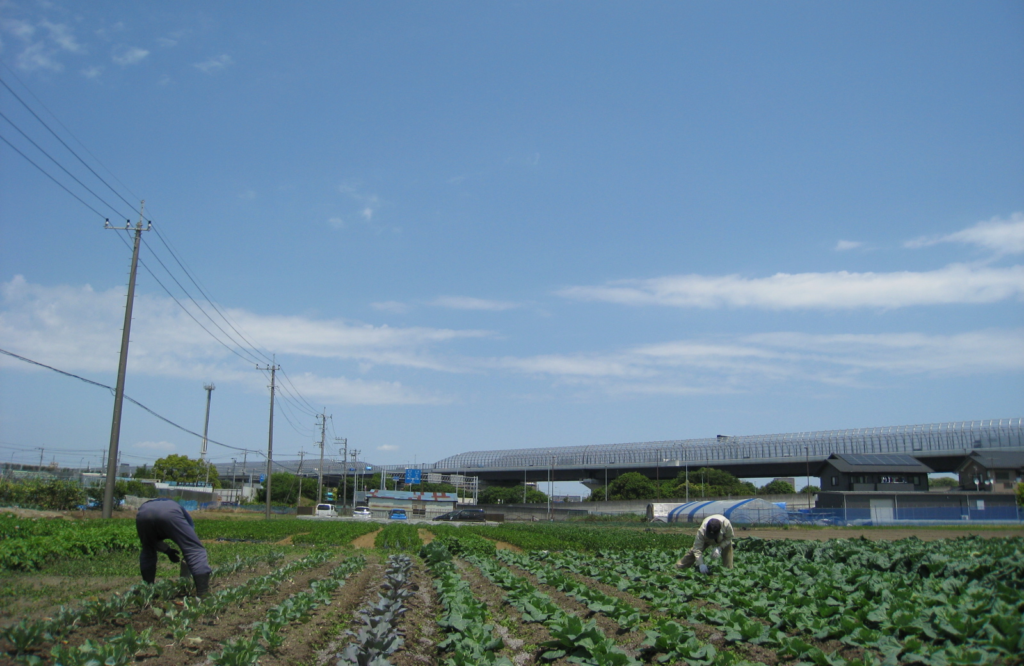 地方自治体から一次産業を守り、地方自治体から国を作る｜しぎはら まい